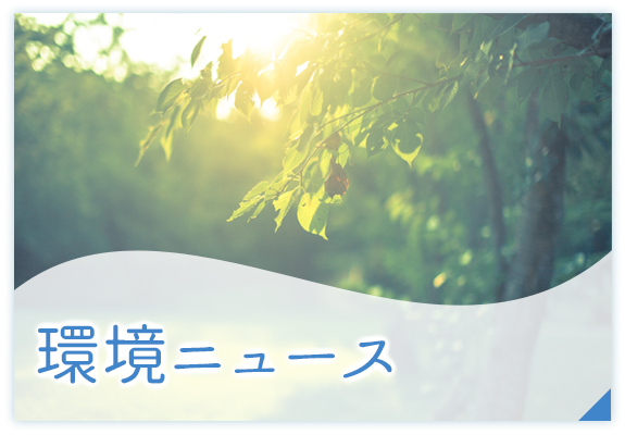 環境ニュース